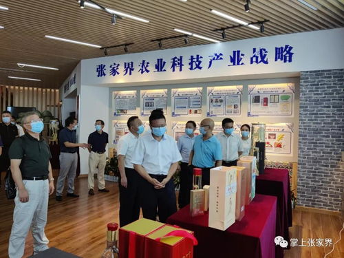 胡丘陵調研張家界王者天下生物科技，強調網站技術服務在企業數字化轉型中的關鍵作用